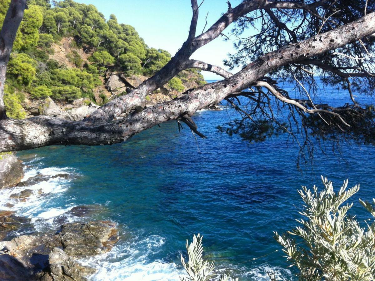 Villa De Vacances Au Calme Proche De La Mer La Londe-les-Maures Eksteriør billede