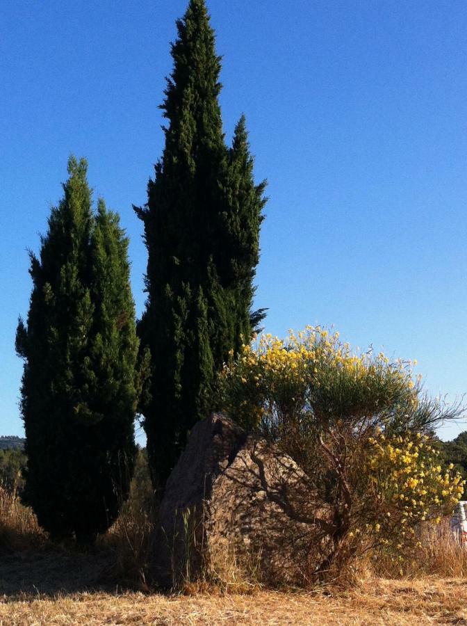 Villa De Vacances Au Calme Proche De La Mer La Londe-les-Maures Eksteriør billede