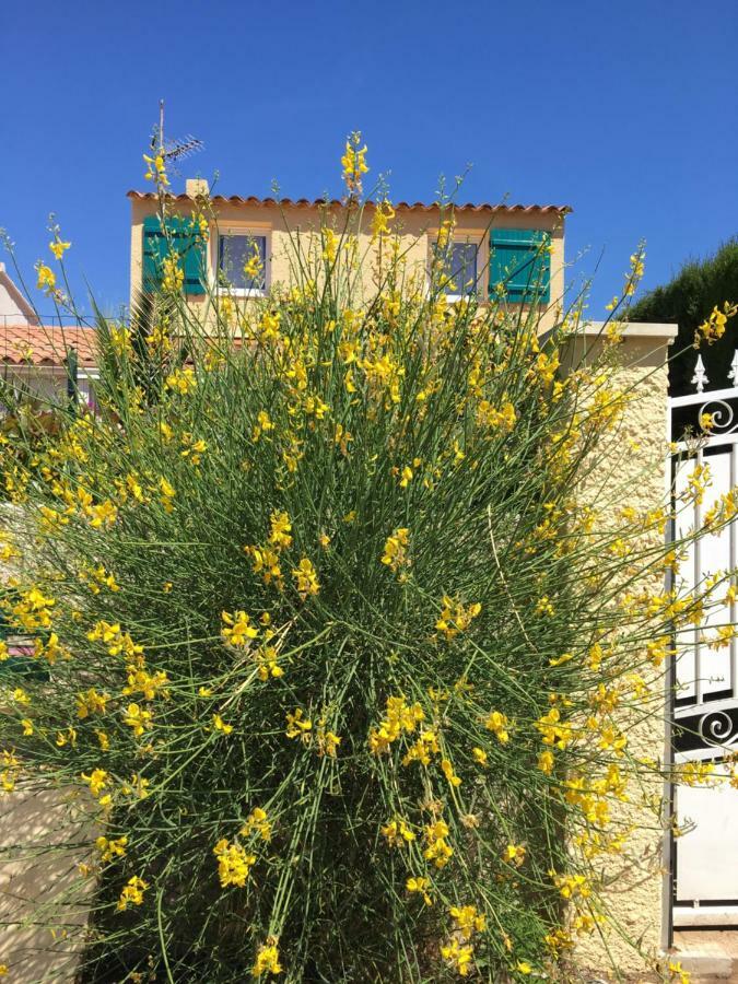 Villa De Vacances Au Calme Proche De La Mer La Londe-les-Maures Eksteriør billede